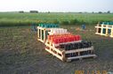 DCP_GrundyCountyFair_Pyro_0556.JPG