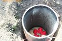 Filename=DCP_GrundyCountyFair_Pyro_0980.JPG
Filesize=752KiB
Dimensions=1760x1168
Date added=Sep 09, 2016 DCP_GrundyCountyFair_Pyro_0980.JPG