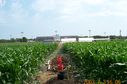 Filename=DCP_GrundyCountyFair_Pyro_0981.JPG
Filesize=548KiB
Dimensions=1760x1168
Date added=Sep 09, 2016 DCP_GrundyCountyFair_Pyro_0981.JPG