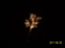 Picture_StonePark_Pyro_3332.jpg